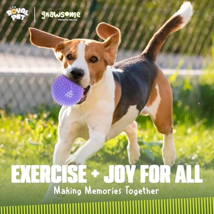 4.5" Spiky Squeak and Light Ball Dog Toy - Extra Large Cleans teeth and Promotes Dental and Gum Health for Your Pet
