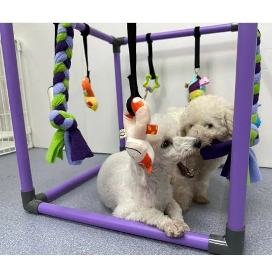 Small Dog Puppy Play Gym with 8 Hanging Toys