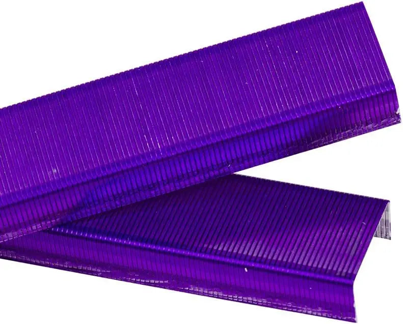 Violet Purple Standard Staples, 5000 Count Box - Heavy Duty