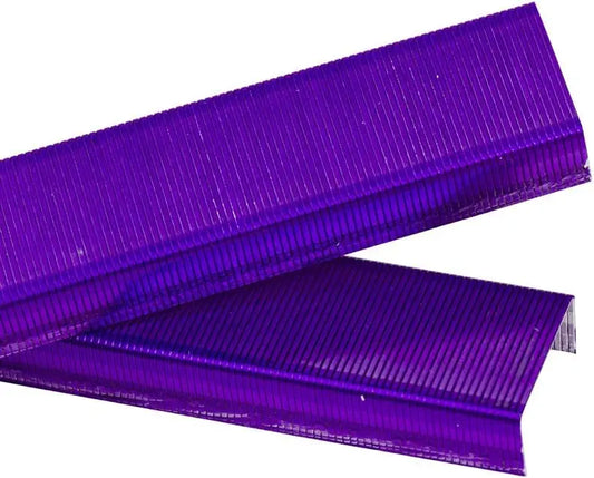 Violet Purple Standard Staples, 5000 Count Box - Heavy Duty