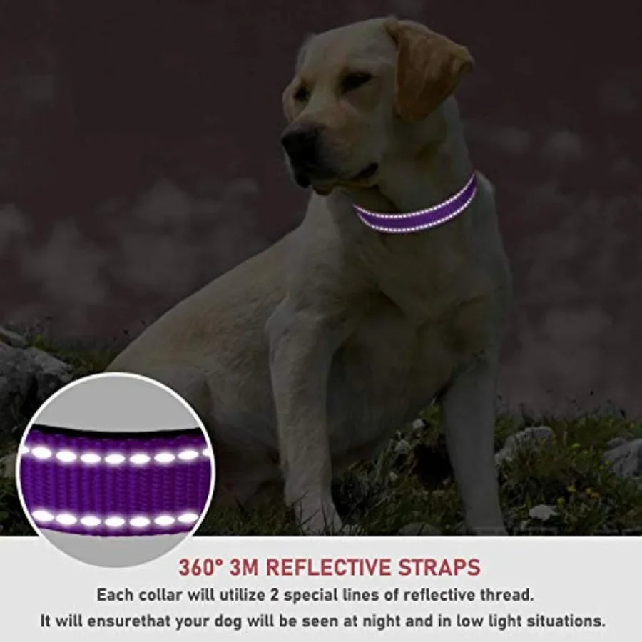 Reflective Dog Collar with Buckle Adjustable Safety Nylon Collars