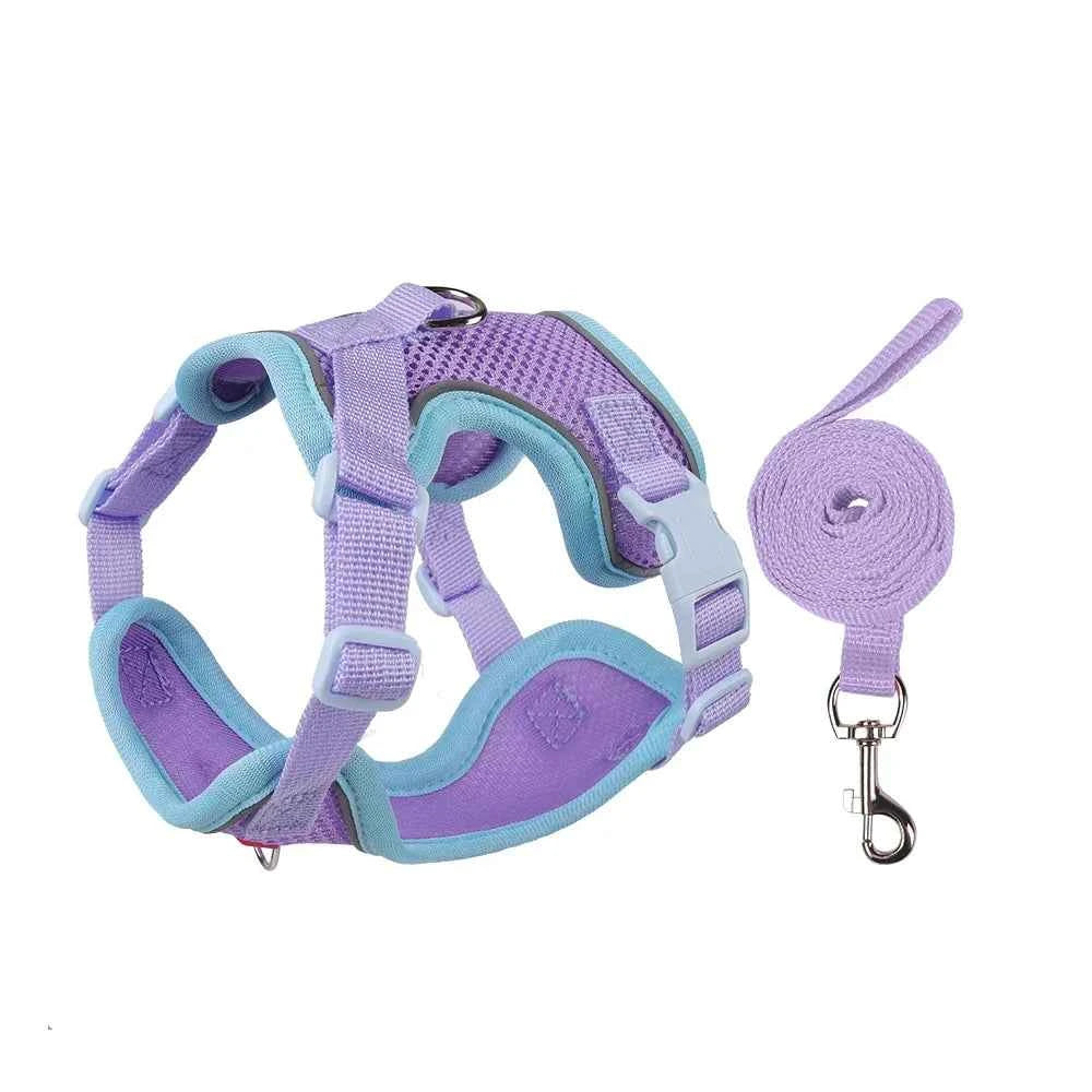 Pet Harness and Leash Set for  Small Dogs