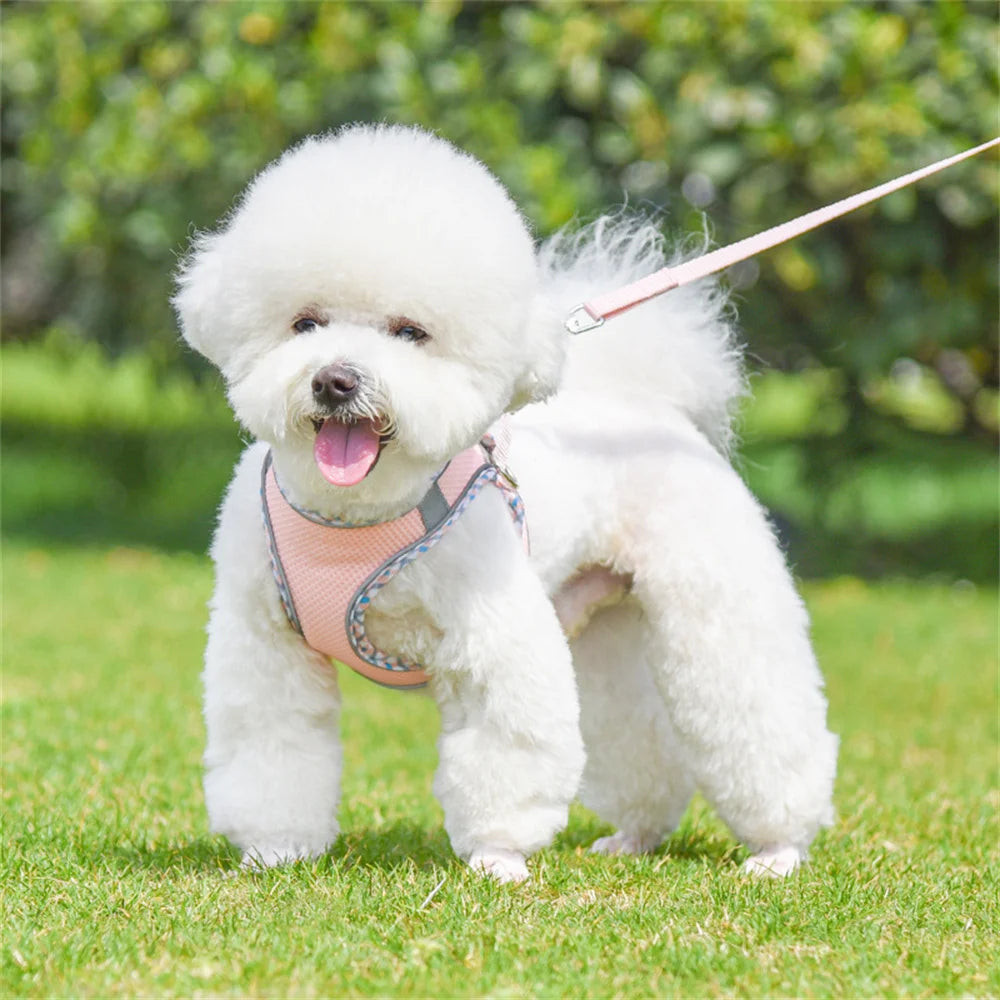 Mesh Breathable Puppy Dog Cat Vest Harness for Small Medium Dogs Sturdy Summer Pet Harnesses and Leash Set