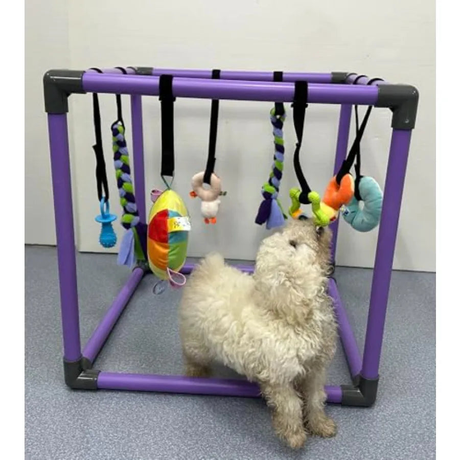 Small Dog Puppy Play Gym with 8 Hanging Toys