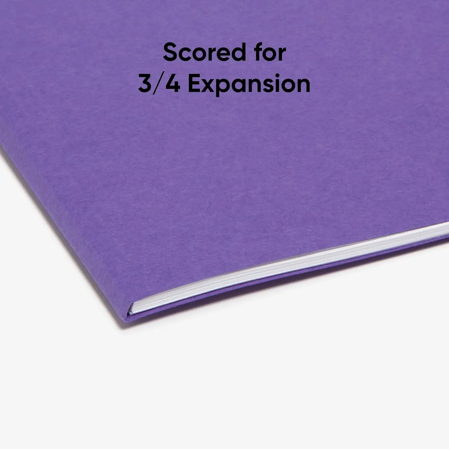 100 Purple Letter Size File Folders with 1/3-Cut Tabs