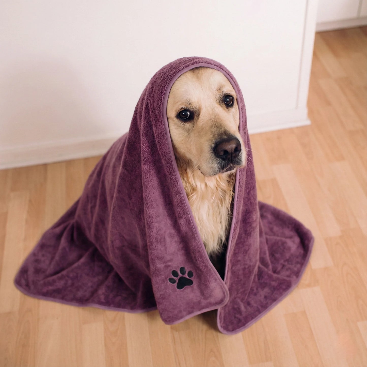Super Soft Pet Bath Towel (75x35cm) - Microfiber Absorbent Paw-Print Towel for Dogs & Cats