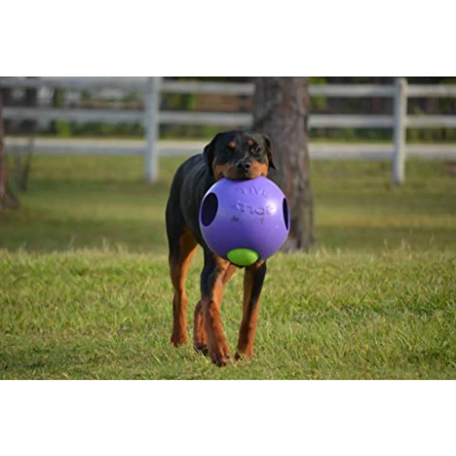 Teaser Ball Dog Toy Extra Large/10 Inches Purple