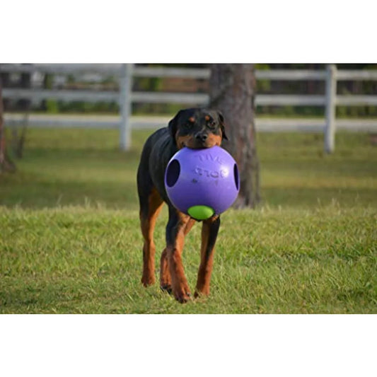 Teaser Ball Dog Toy Extra Large/10 Inches Purple