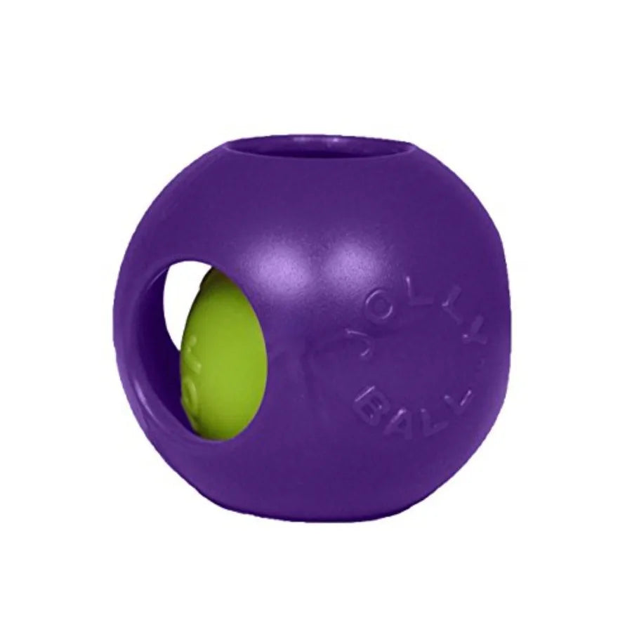 Teaser Ball Dog Toy Extra Large/10 Inches Purple